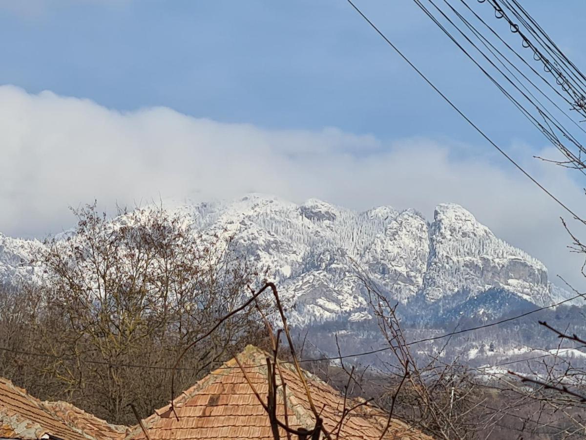 Casa Hera Călimăneşti 외부 사진