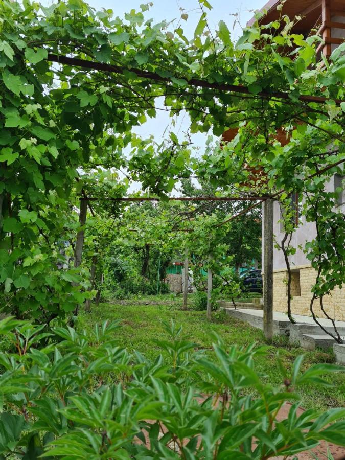 Casa Hera Călimăneşti 외부 사진