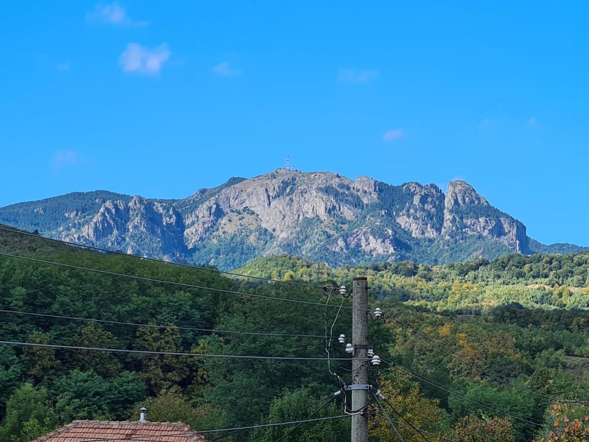 Casa Hera Călimăneşti 외부 사진