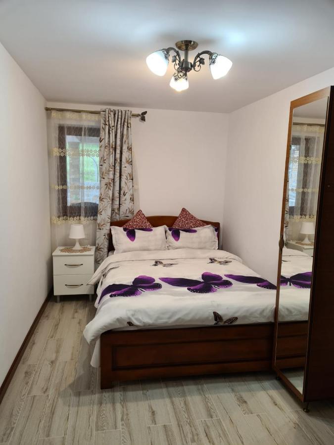 Casa Hera Călimăneşti 외부 사진